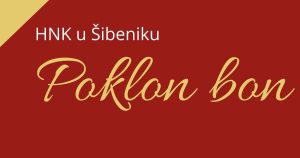 facebook 1773759301912 7439685735049995266